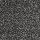 Invictus Severus Carpet