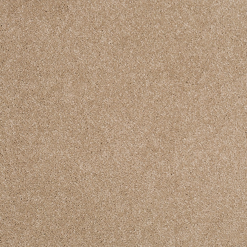Pandora Carpet