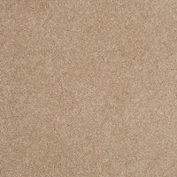 Pandora Carpet