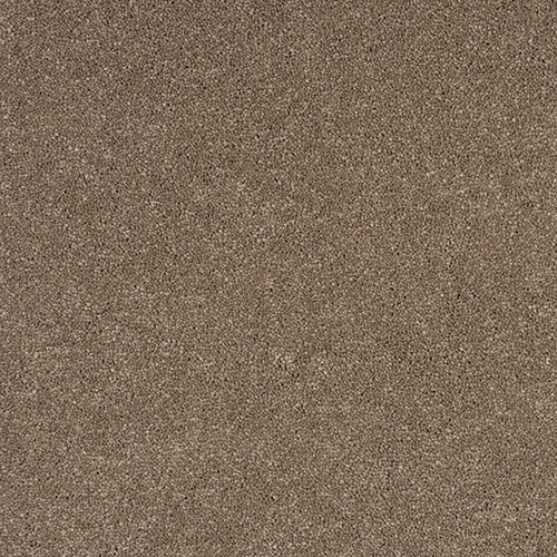 Pandora Carpet