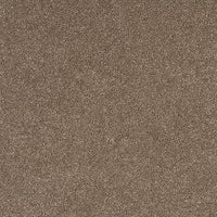 Pandora Carpet