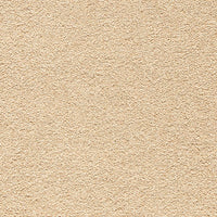 Endless Charm Carpet