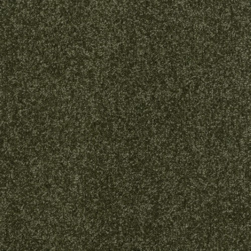New Ambience Carpet