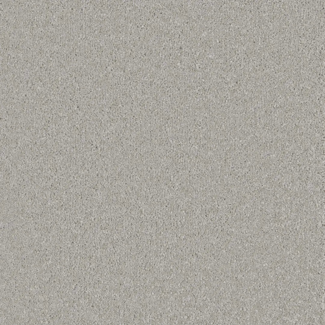 Bliss Carpet