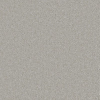 Bliss Carpet