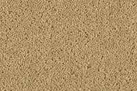 Grange Wilton Carpet - Ulster