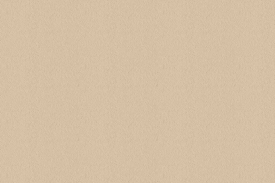 Velvet Carpet - Ulster