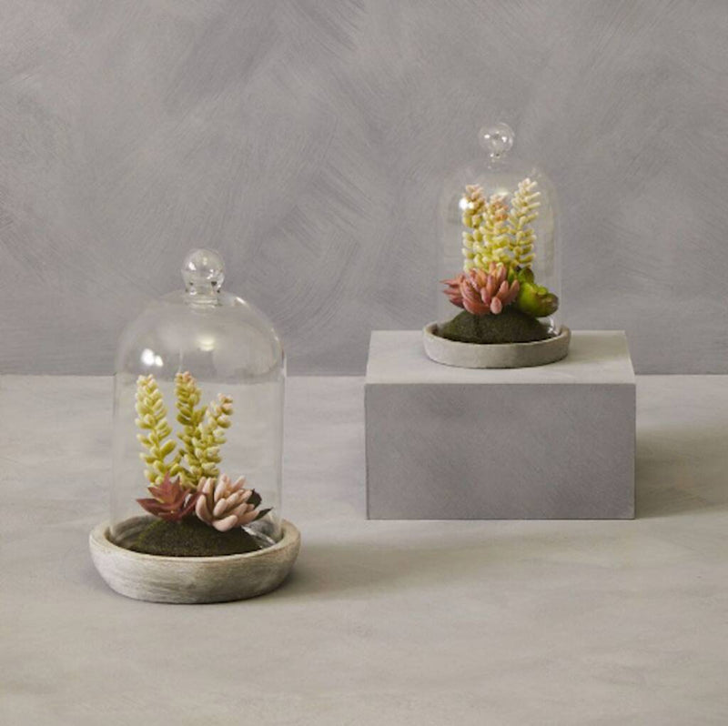 Succulent Domes
