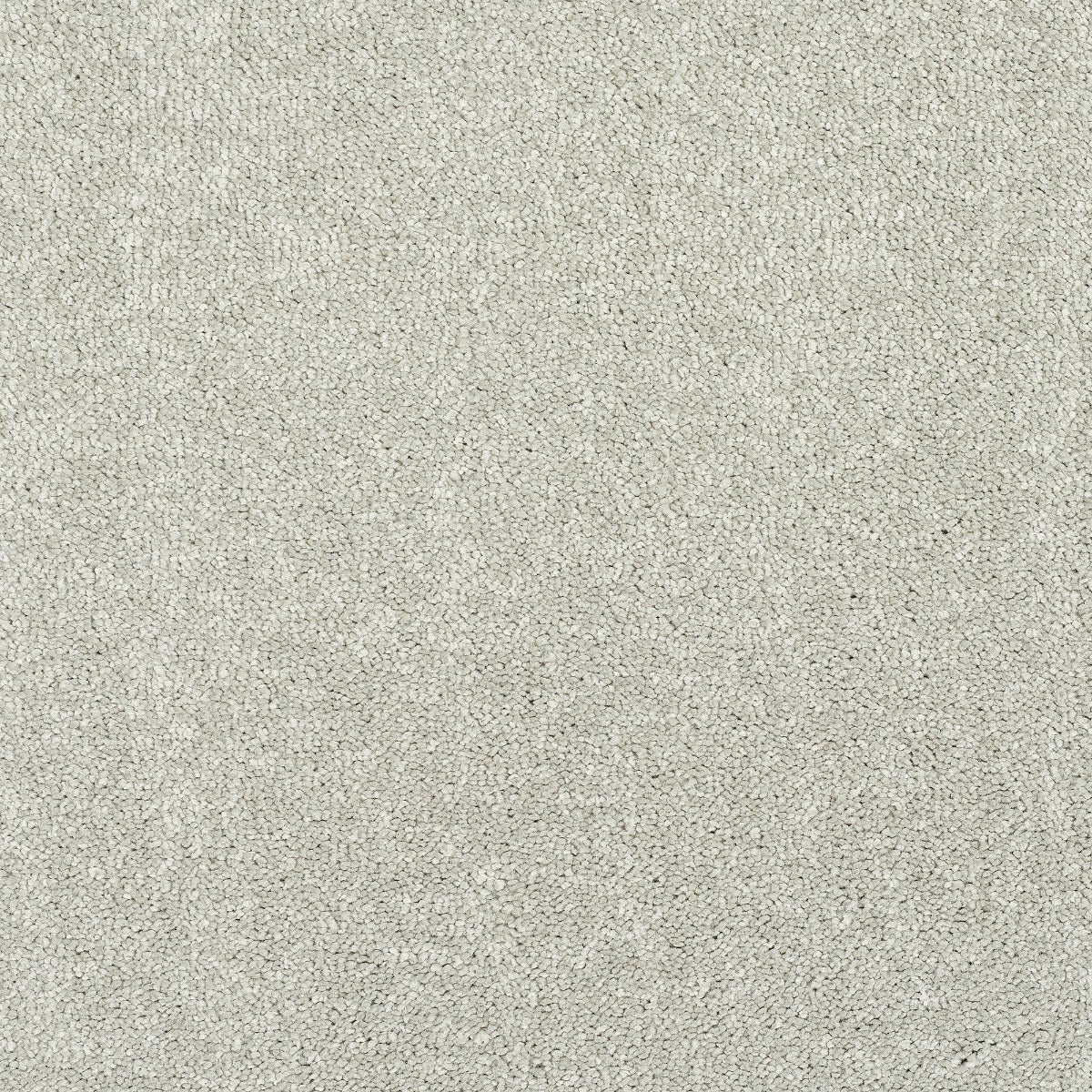 Finesse Carpet