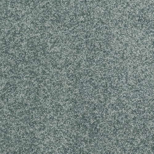 New Ambience Carpet