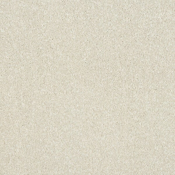 Smart Atilius Carpet