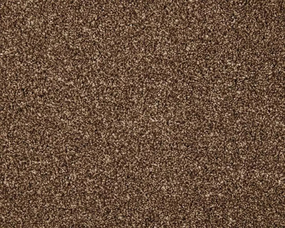 Smart Amazon Carpet