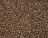 Smart Amazon Carpet
