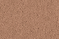Grange Wilton Carpet - Ulster