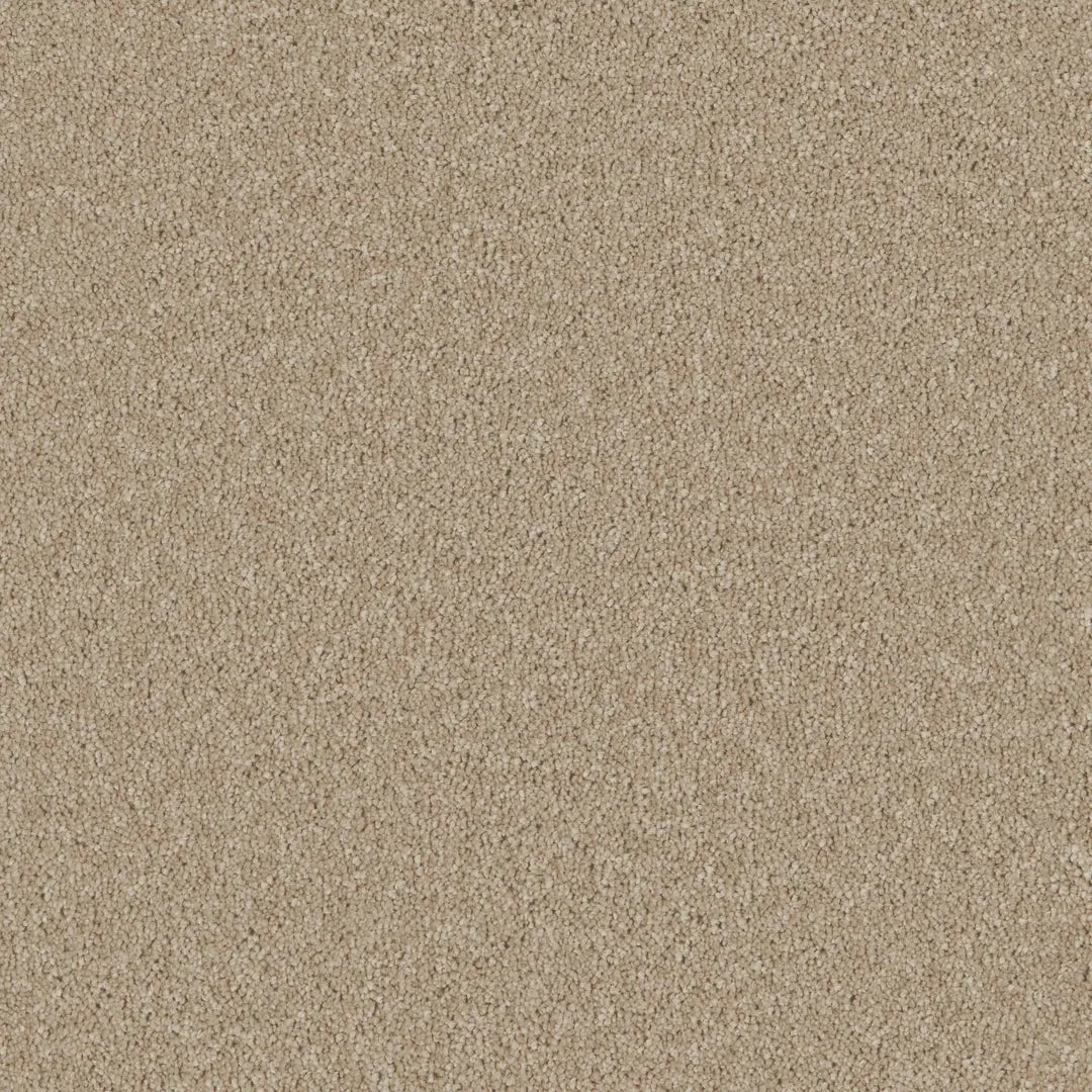 Bliss Carpet