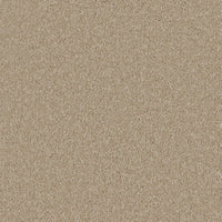 Bliss Carpet