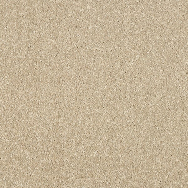 Smart Atilius Carpet