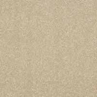 Smart Atilius Carpet