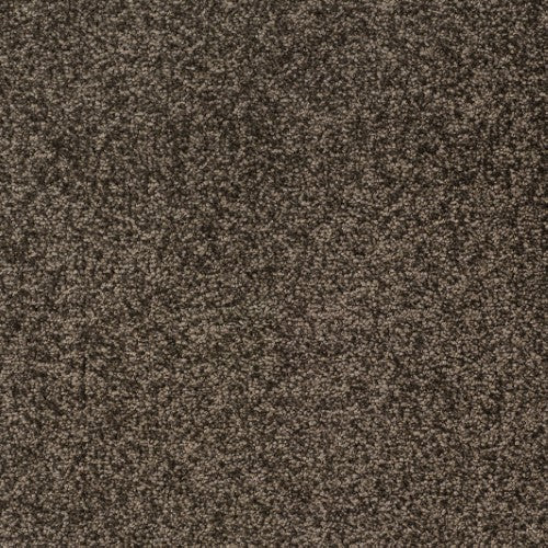 New Ambience Carpet
