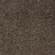 New Ambience Carpet
