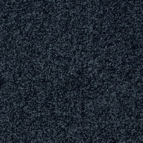 New Ambience Carpet