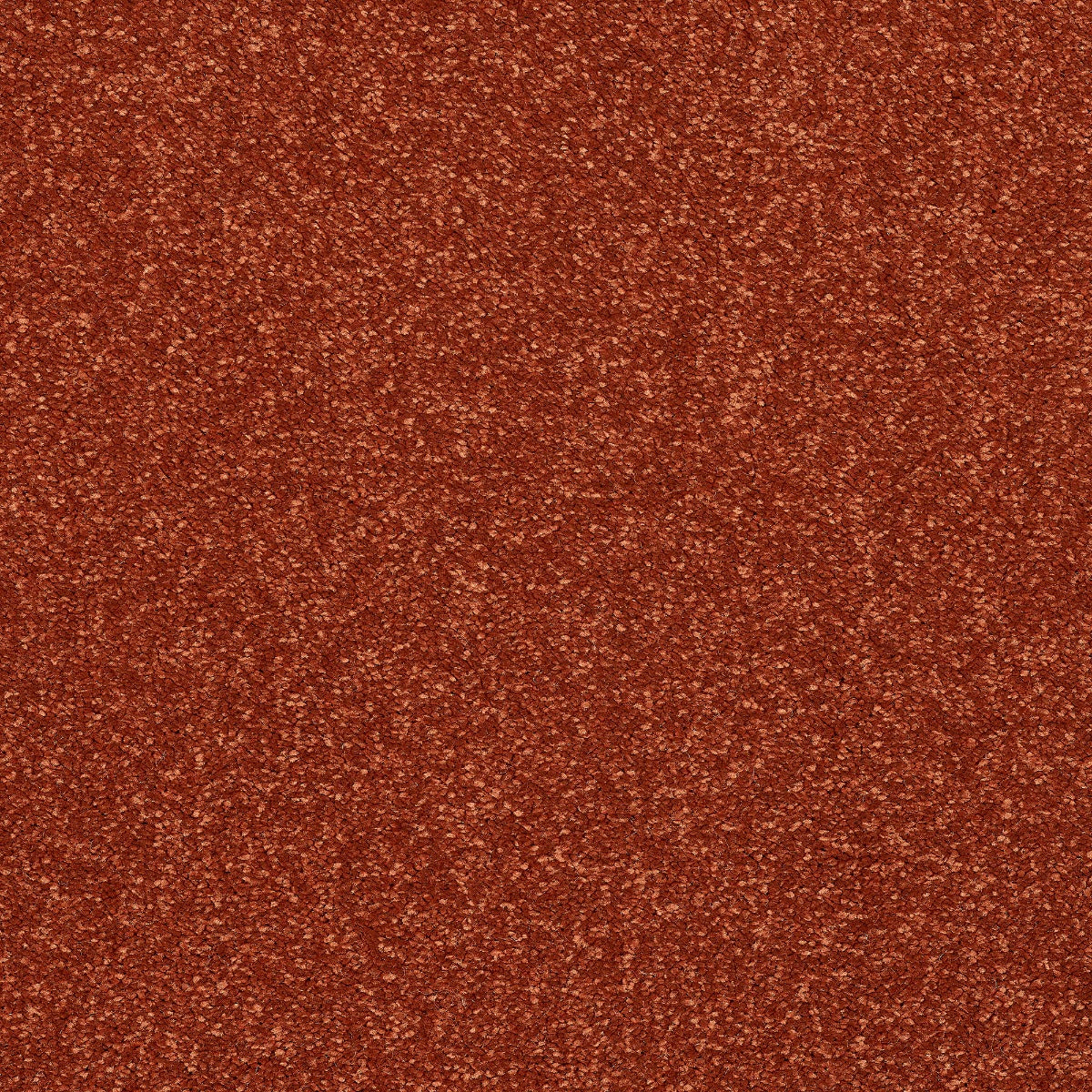 Finesse Carpet