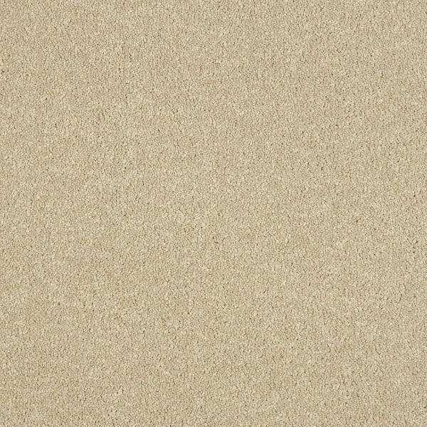 Smart Atilius Carpet