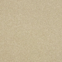 Smart Atilius Carpet