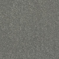 Finesse Carpet