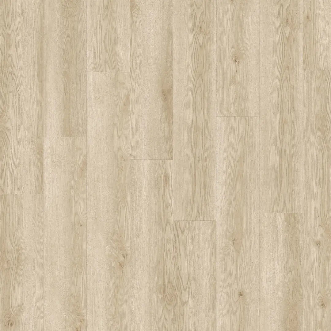 Aurora Dryback Plank