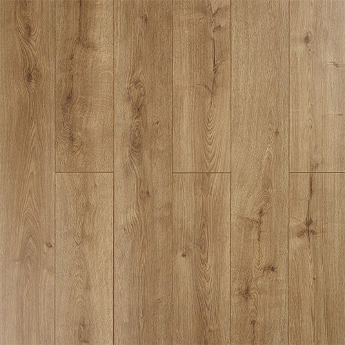 Sylvain 12mm Laminate