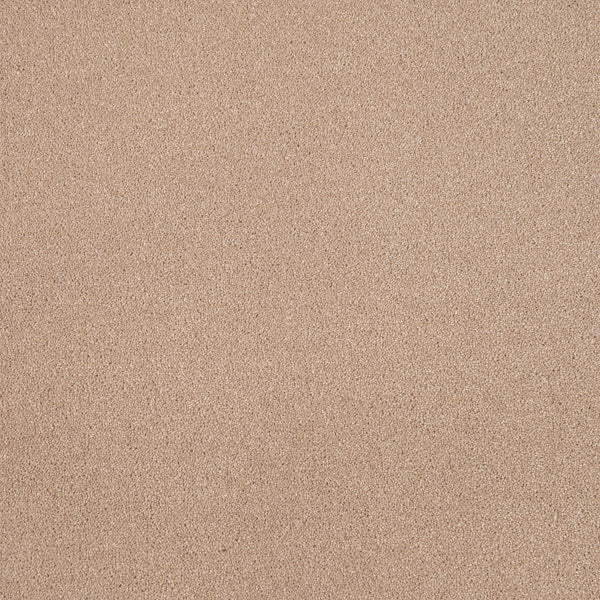 Highgate 50oz Carpet