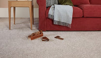 Captivate Carpet