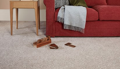 Captivate Carpet