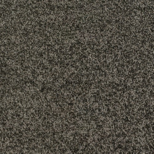 New Ambience Carpet