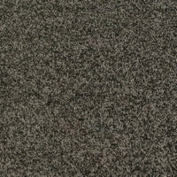 New Ambience Carpet