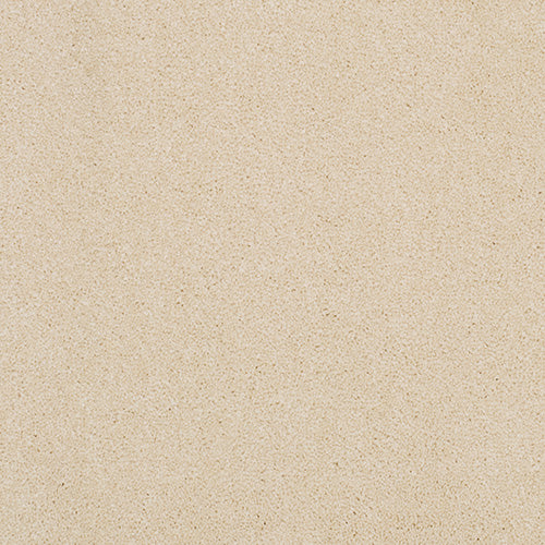 Pandora Carpet