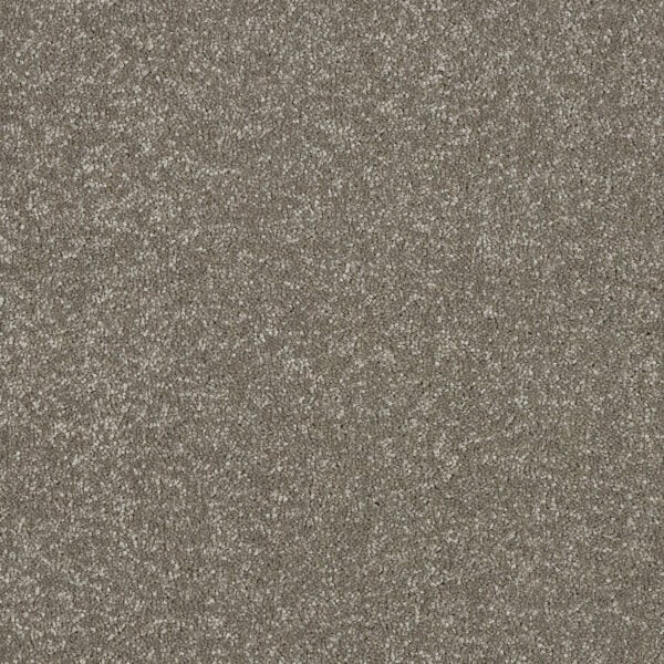 Smart Atilius Carpet