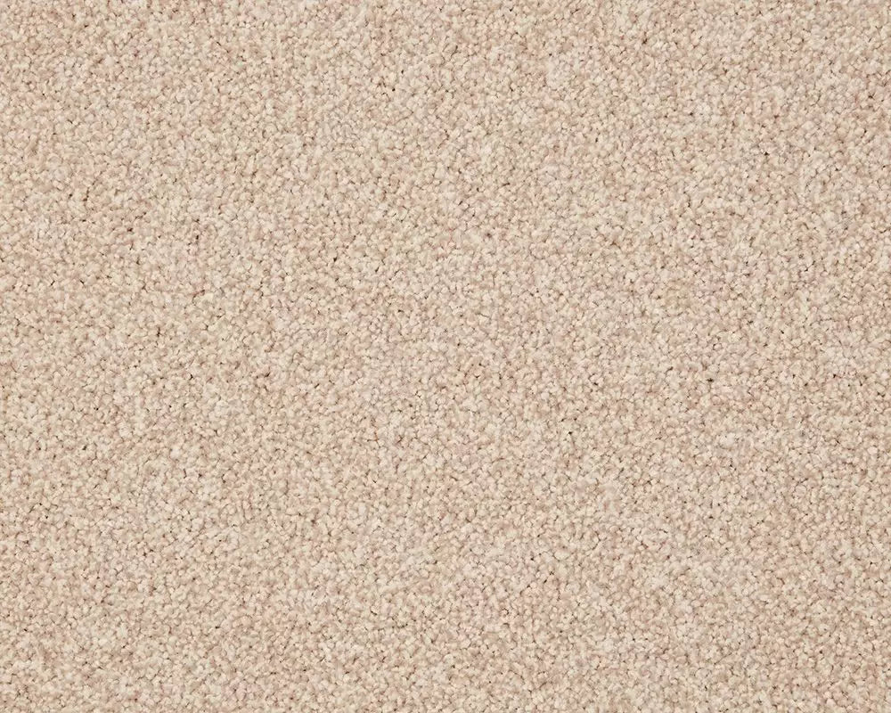 Smart Amazon Carpet
