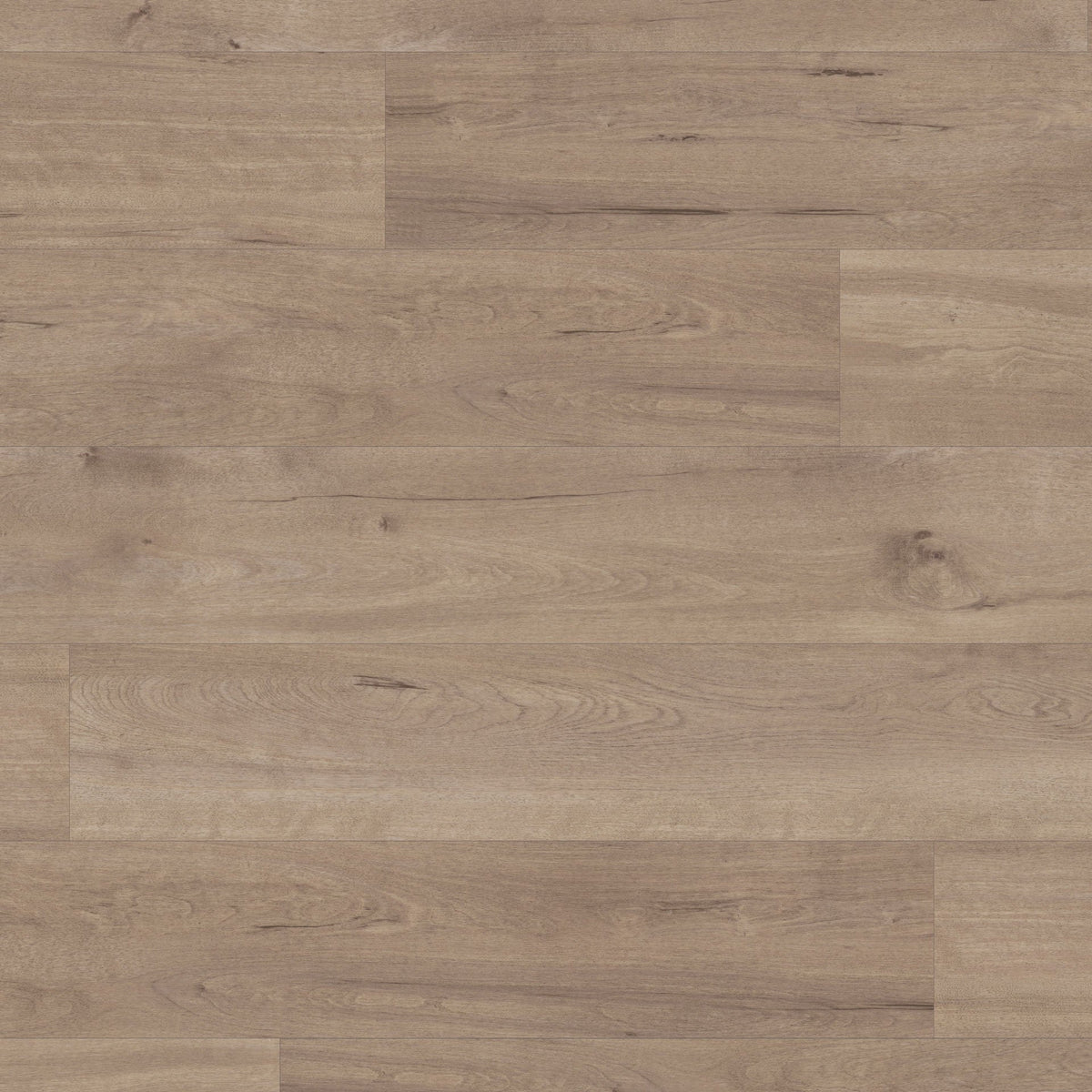 Karndean Van Gogh - Frosted Birch VGW83T x6 BOXES IN STOCK