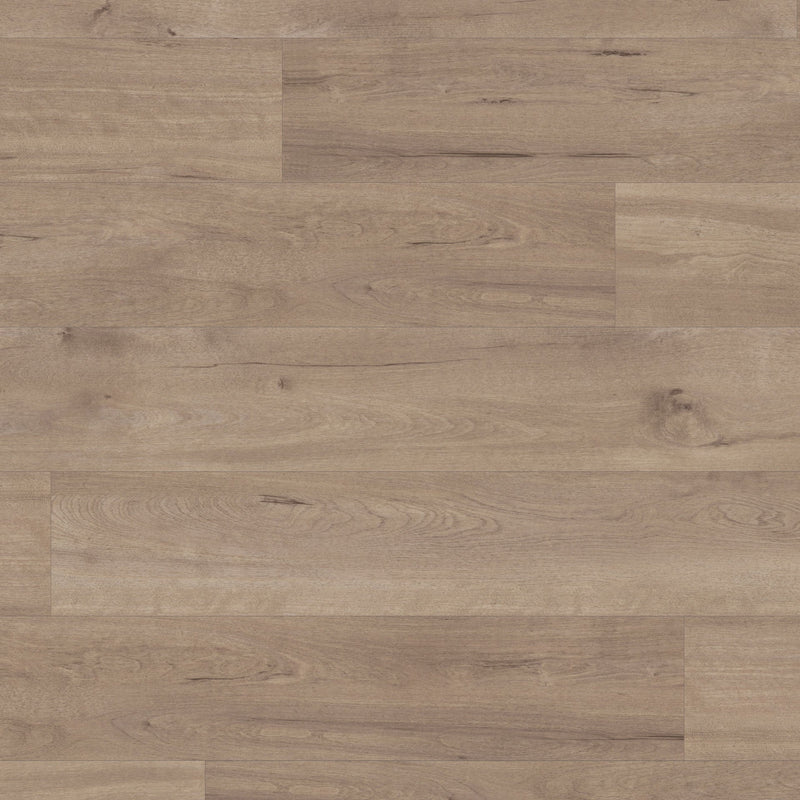 Karndean Van Gogh - Frosted Birch VGW83T x6 BOXES IN STOCK