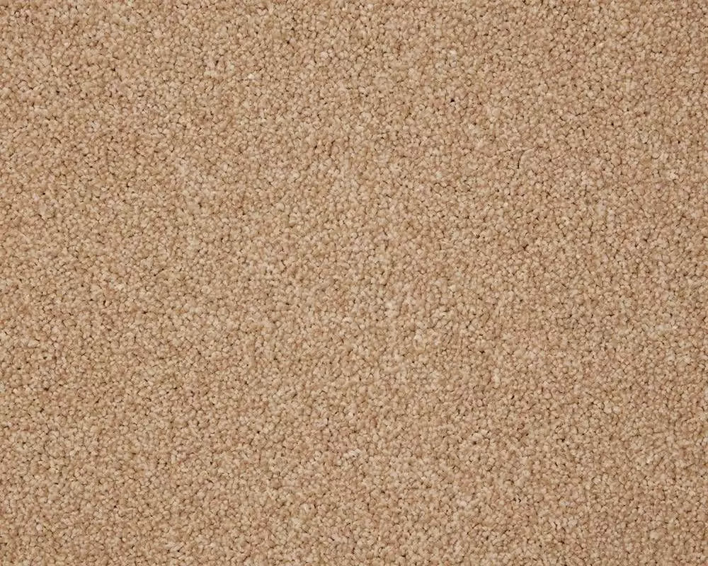 Smart Amazon Carpet