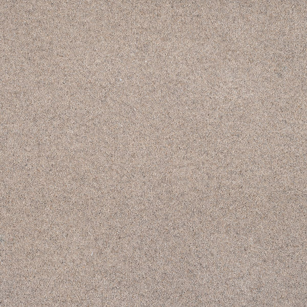 Highgate 50oz Carpet