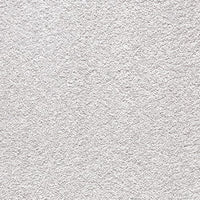 Endless Charm Carpet