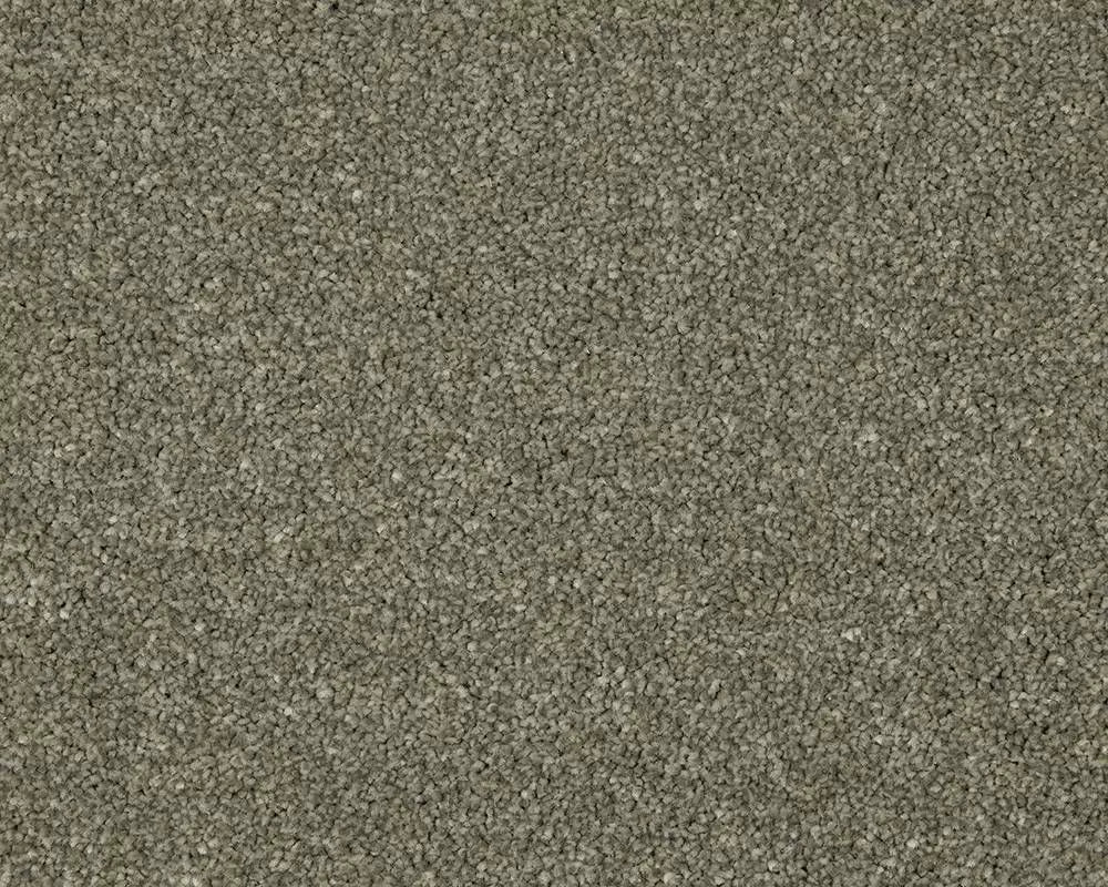 Smart Amazon Carpet