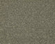 Smart Amazon Carpet