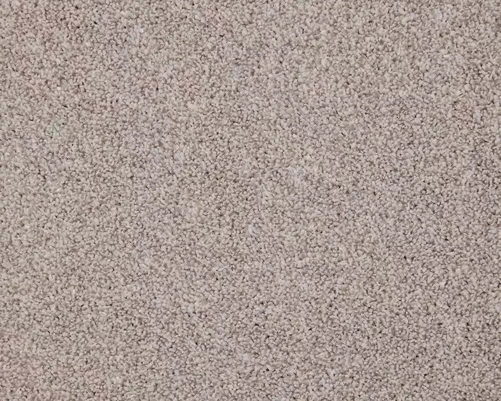 Smart Amazon Carpet