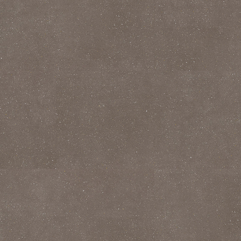Polyflor Expona Commercial LVT Flooring