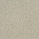 Invictus Cassius 70oz Carpet