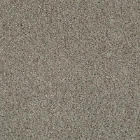 Invictus Darius 50oz Carpet